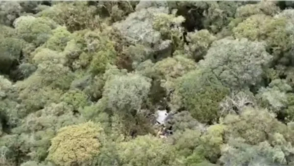 Destroços de helicóptero com cantor Rick são encontrados; cinco corpos são localizados