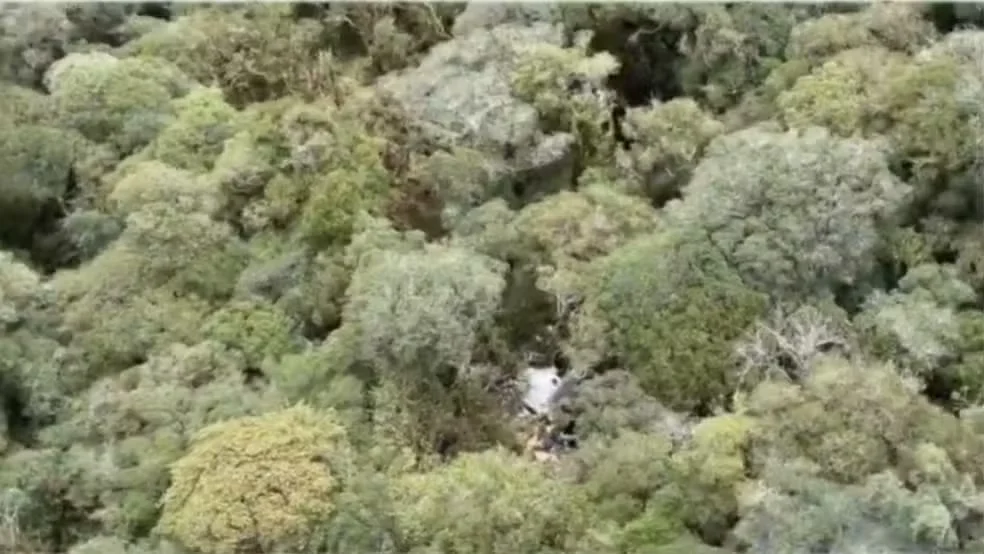 Destroços de helicóptero com cantor Rick são encontrados; cinco corpos são localizados