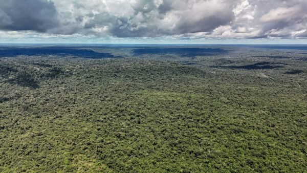 Devastação na Amazônia pode quebrar maior “máquina de chuva” do mundo