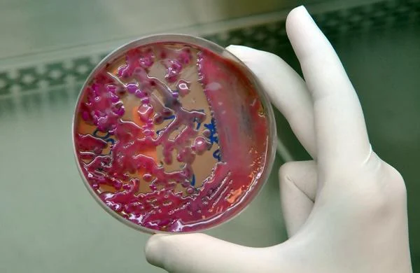 Cientistas identificam vírus no esgoto do Reino Unido que pode ser usado contra superbactéria