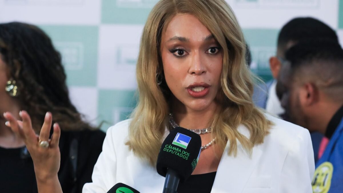 Mendonça libera postagem de Erika Hilton sobre Nossa Senhora Aparecida