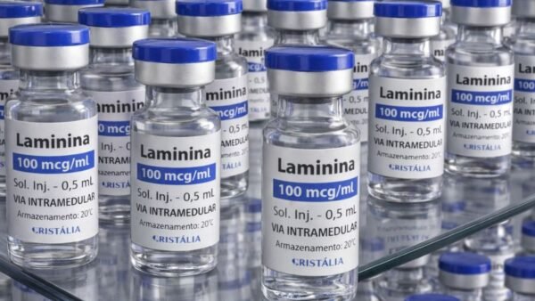 Testes clínicos fase 1 da polilaminina começam este mês