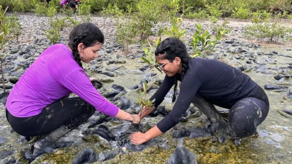 Inscrição de trabalhos no Fórum de Educação Ambiental termina dia 30