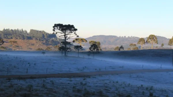 Sul e Sudeste têm mais um dia de frio nesta quinta-feira