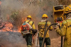 Queimadas exigem mais que discurso do próximo governador