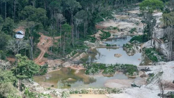 Mineração em terras indígenas: o que já propuseram os novos senadores da Amazônia Legal