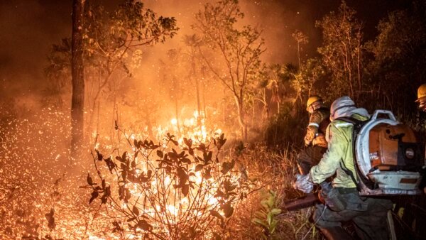 Ibama extingue 229 incêndios no Amazonas e segue no combate ao fogo