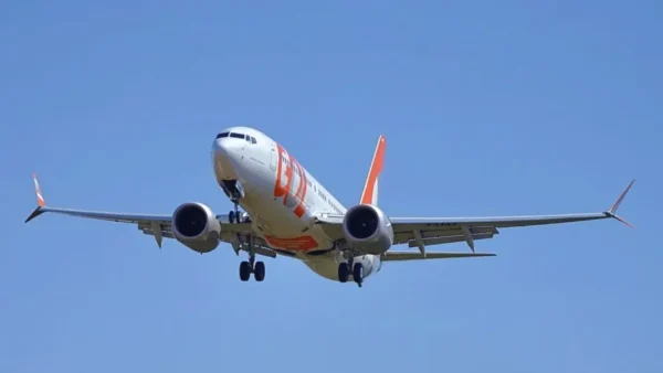 Avião da Gol volta ao aeroporto do Recife após pássaro avariar motor
