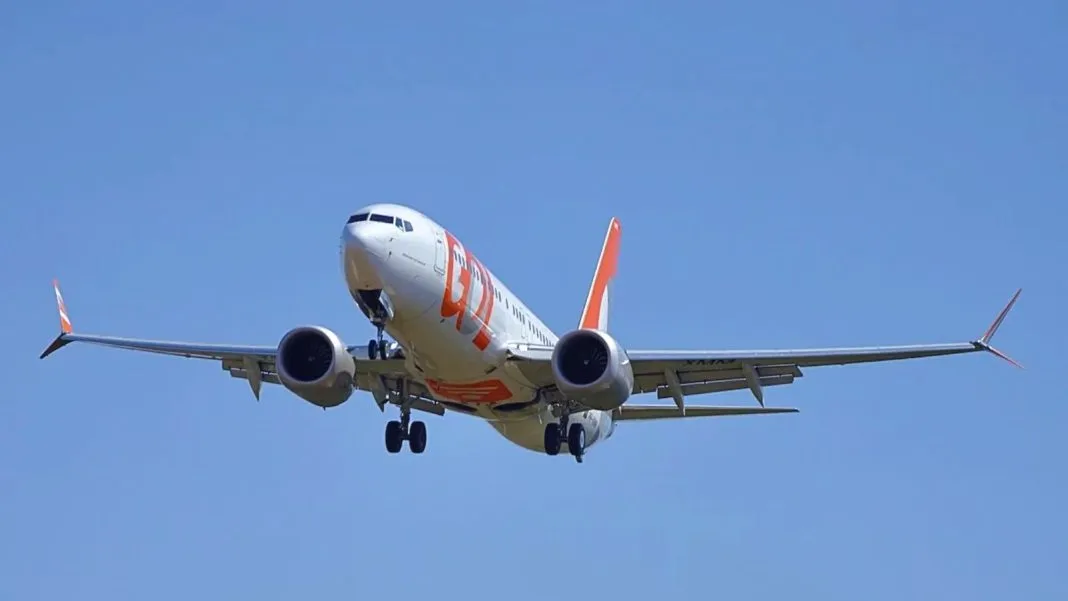 Avião da Gol volta ao aeroporto do Recife após pássaro avariar motor