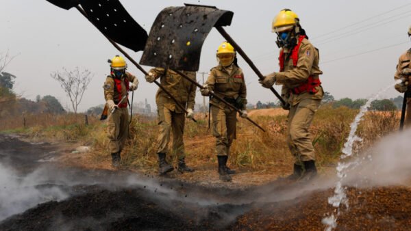 Fogo expõe limites, bombeiros resistem