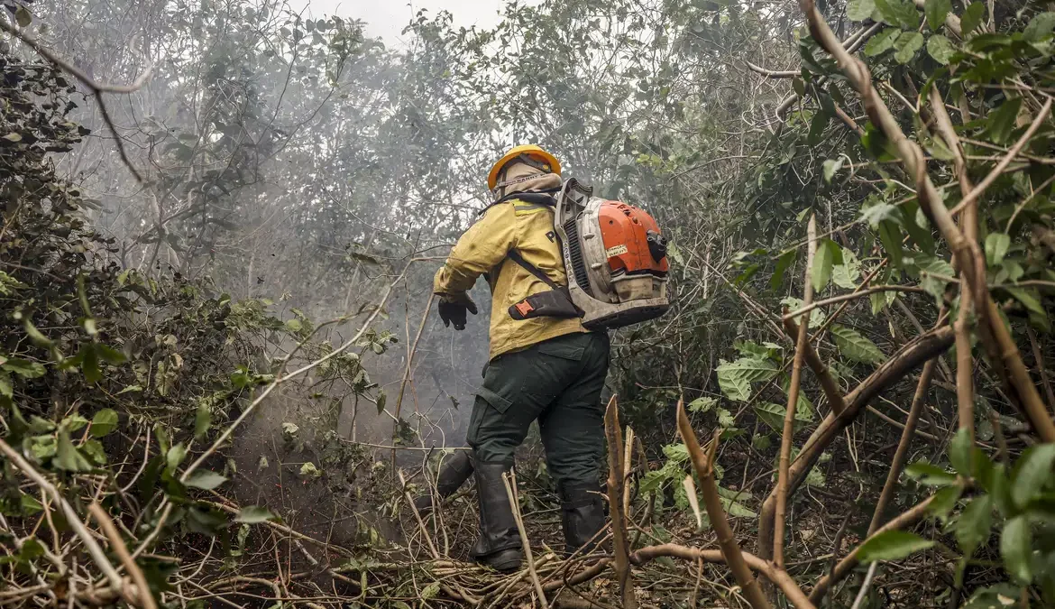 Ministro do Meio Ambiente diz que incêndios no Amazonas indicam ação criminosa