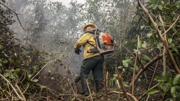 Ministro do Meio Ambiente diz que incêndios no Amazonas indicam ação criminosa