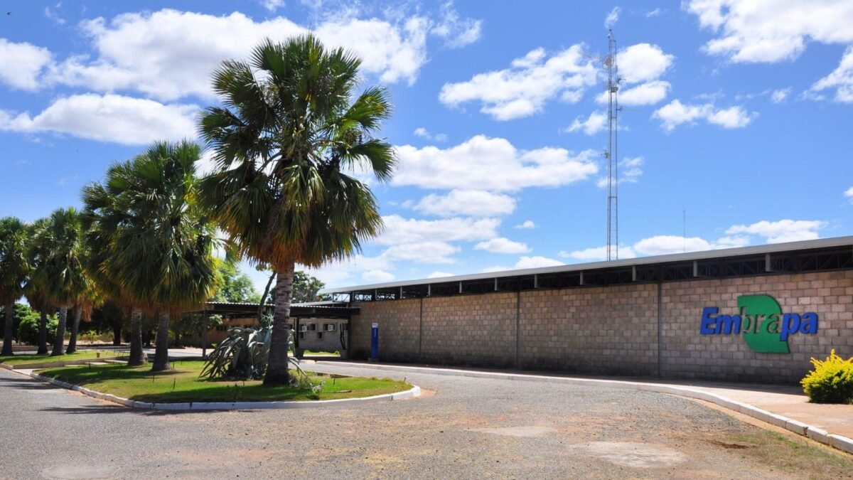 Embrapa é designada como Centro de Referência para Florestas Plantadas