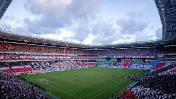 Santa Cruz empata com Maringá e voltará à Série B após 10 anos