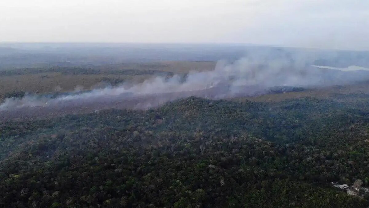Governo intensifica reforços para combater incêndios no Pará